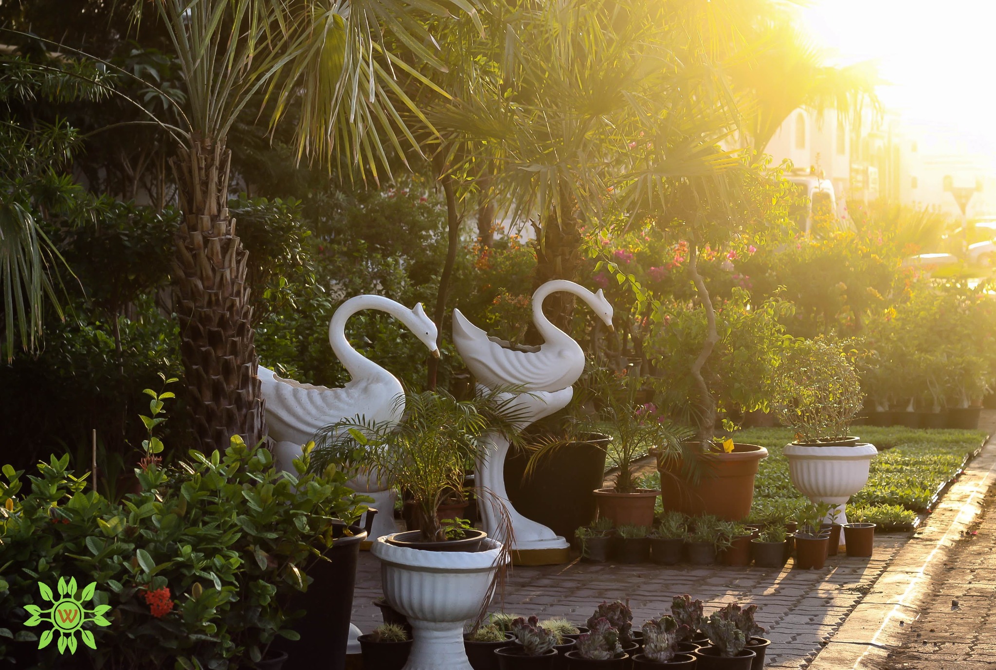 Wakan Gardens Center